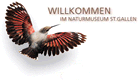logo_naturmuseumsg